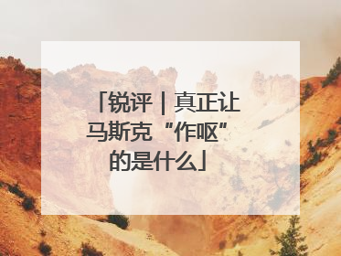 锐评｜真正让马斯克“作呕”的是什么