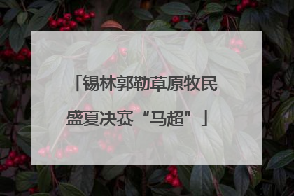 锡林郭勒草原牧民盛夏决赛“马超”