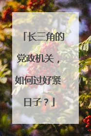 长三角的党政机关，如何过好紧日子？