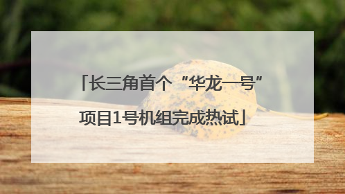 长三角首个“华龙一号”项目1号机组完成热试