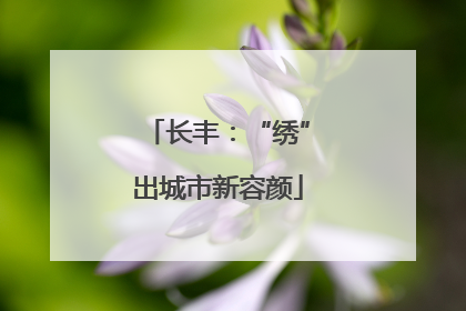 长丰：“绣”出城市新容颜