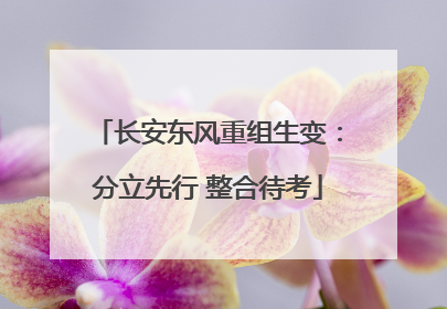 长安东风重组生变：分立先行 整合待考