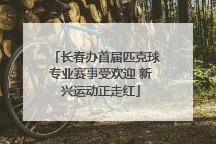 长春办首届匹克球专业赛事受欢迎 新兴运动正走红