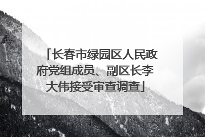 长春市绿园区人民政府党组成员、副区长李大伟接受审查调查