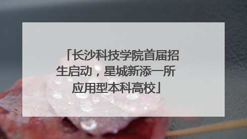 长沙科技学院首届招生启动，星城新添一所应用型本科高校