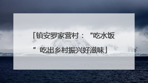 镇安罗家营村：“吃水饭”吃出乡村振兴好滋味