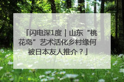 闪电深1度｜山东“桃花岛”艺术活化乡村缘何被日本友人推介？