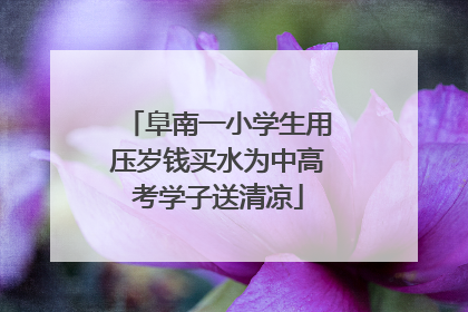 阜南一小学生用压岁钱买水为中高考学子送清凉