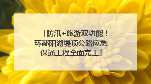 防汛+旅游双功能！环鄱阳湖堤顶公路应急保通工程全面完工