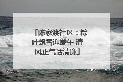 陈家渡社区：粽叶飘香迎端午 清风正气话清廉