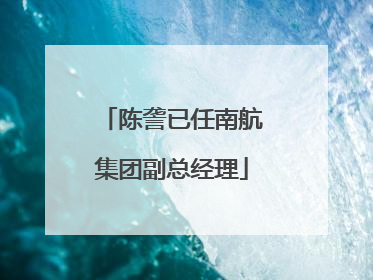 陈詟已任南航集团副总经理