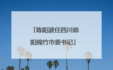 陈阳波任四川德阳绵竹市委书记