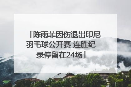 陈雨菲因伤退出印尼羽毛球公开赛 连胜纪录停留在24场