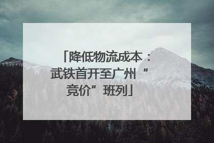 降低物流成本：武铁首开至广州“竞价”班列