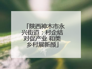 陕西神木市永兴街道：村企结对促产业 和美乡村展新颜