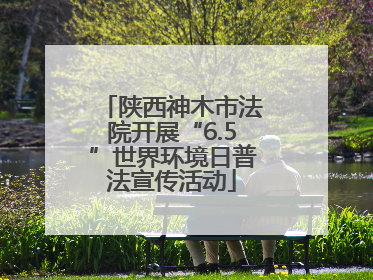 陕西神木市法院开展“6.5”世界环境日普法宣传活动