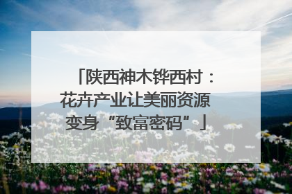 陕西神木铧西村：花卉产业让美丽资源变身“致富密码”