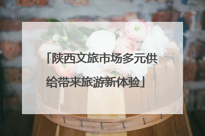 陕西文旅市场多元供给带来旅游新体验