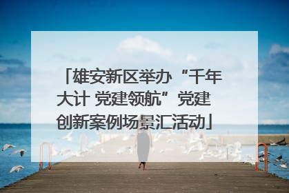 雄安新区举办“千年大计 党建领航”党建创新案例场景汇活动