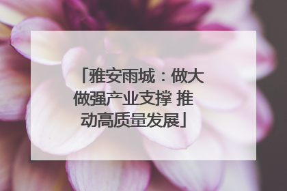 雅安雨城：做大做强产业支撑 推动高质量发展