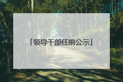 领导干部任前公示
