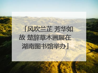 风吹兰芷 芳华如故 楚辞草木画展在湖南图书馆举办