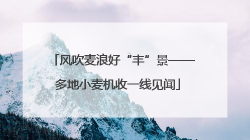 风吹麦浪好“丰”景——多地小麦机收一线见闻