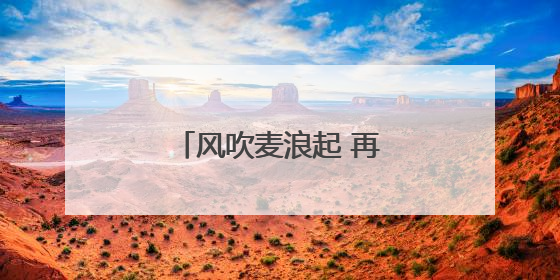 风吹麦浪起 再上神禾塬——陕西西安夏收见闻