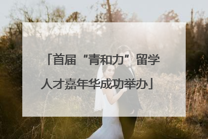 首届“青和力”留学人才嘉年华成功举办