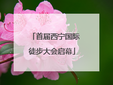 首届西宁国际徒步大会启幕