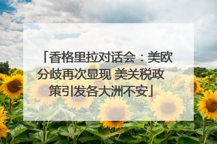 香格里拉对话会：美欧分歧再次显现 美关税政策引发各大洲不安