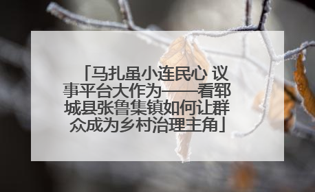 马扎虽小连民心 议事平台大作为——看郓城县张鲁集镇如何让群众成为乡村治理主角