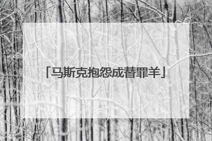 马斯克抱怨成替罪羊