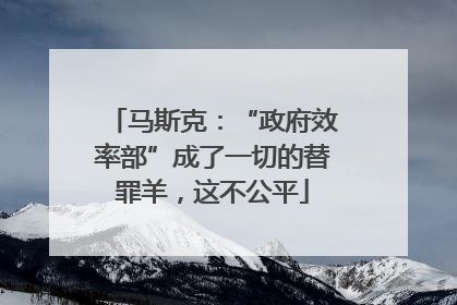 马斯克：“政府效率部”成了一切的替罪羊，这不公平