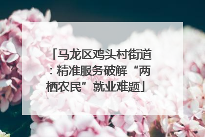 马龙区鸡头村街道：精准服务破解“两栖农民”就业难题