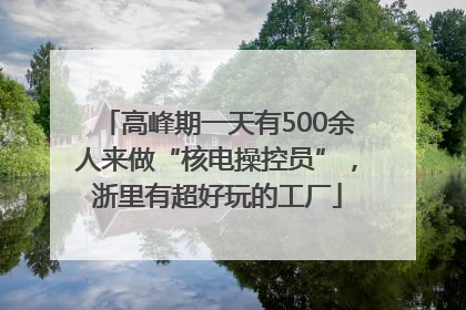高峰期一天有500余人来做“核电操控员”，浙里有超好玩的工厂