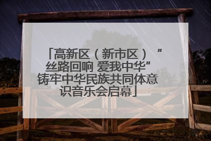 高新区（新市区）“丝路回响 爱我中华”铸牢中华民族共同体意识音乐会启幕