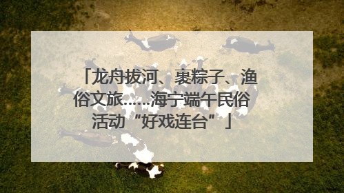 龙舟拔河、裹粽子、渔俗文旅……海宁端午民俗活动“好戏连台”