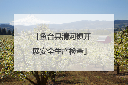 鱼台县清河镇开展安全生产检查