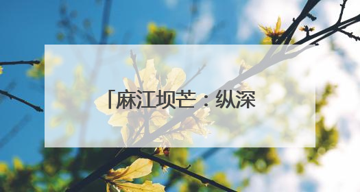 麻江坝芒：纵深推进“两清两改两治理”绘就乡村振兴新图景