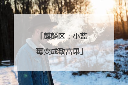 麒麟区：小蓝莓变成致富果