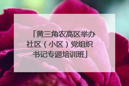 黄三角农高区举办社区（小区）党组织书记专题培训班