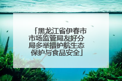 黑龙江省伊春市市场监管局友好分局多举措护航生态保护与食品安全