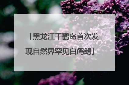 黑龙江千鹤岛首次发现自然界罕见白鸬鹚