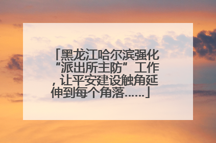 黑龙江哈尔滨强化“派出所主防”工作，让平安建设触角延伸到每个角落……