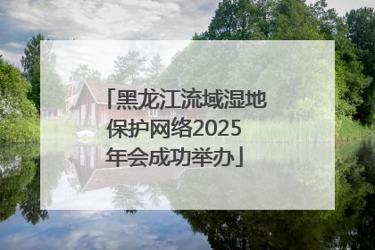黑龙江流域湿地保护网络2025年会成功举办