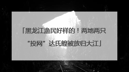 黑龙江渔民好样的！两地两只“投网”达氏鳇被放归大江