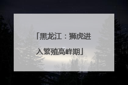 黑龙江：狮虎进入繁殖高峰期