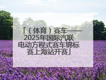 （体育）赛车——2025年国际汽联电动方程式赛车锦标赛上海站开赛