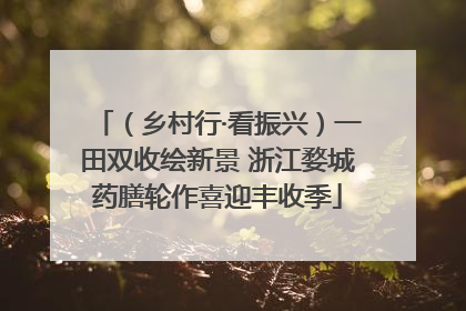 （乡村行·看振兴）一田双收绘新景 浙江婺城药膳轮作喜迎丰收季